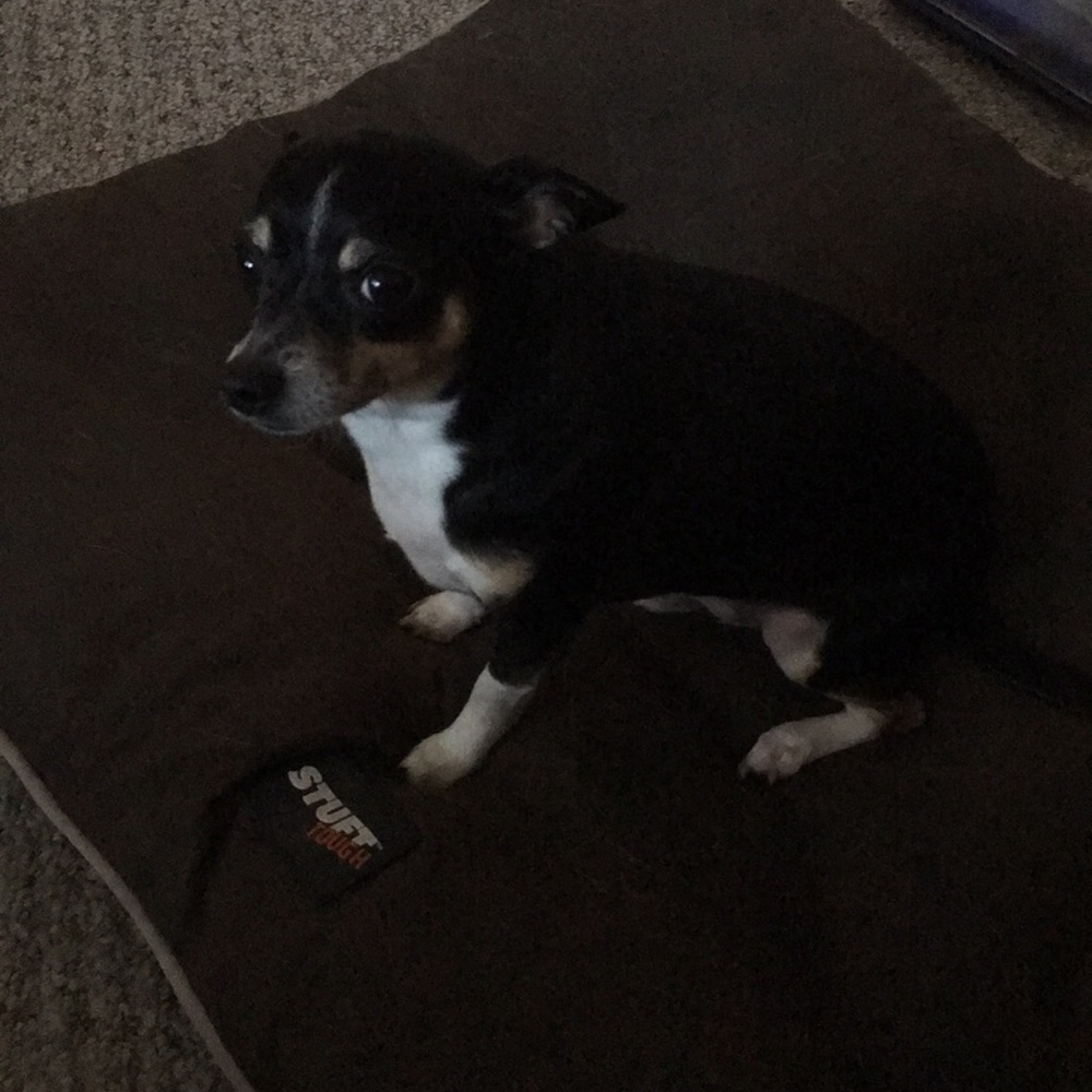 Meet your Posher, Michelle